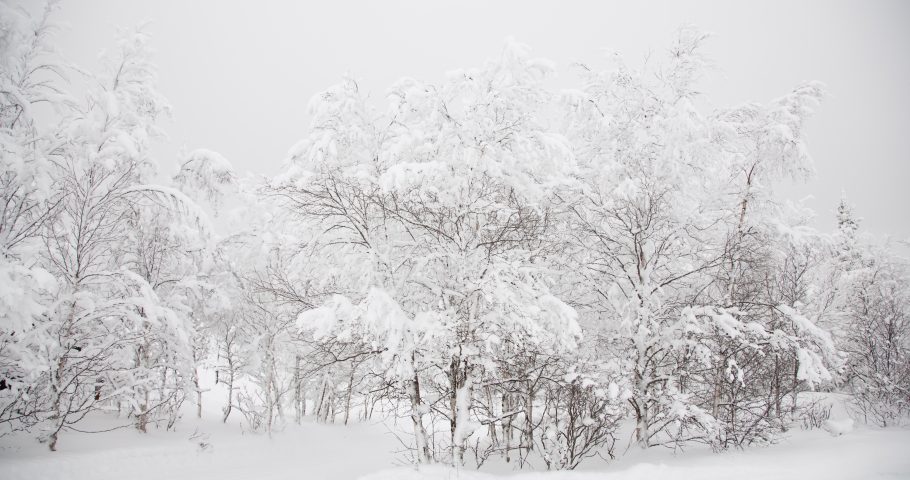 Schubert: Winterreise in norwegian